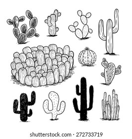 cactus collection,Vector illustration.