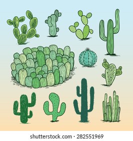 cactus collection,Vector illustration.
