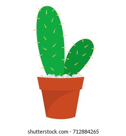 Cactus in Color