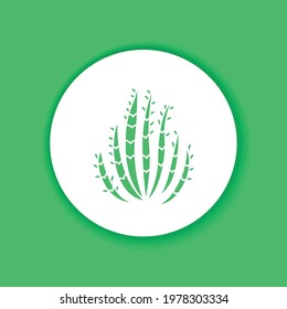 Cactus color glyph icon. Pictogram for web page, mobile app, promo. UI UX GUI design element. Editable stroke.