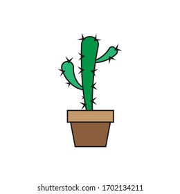 cactus color icons design. vector illustrations