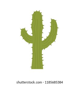 Cactus color vector icon. Flat design