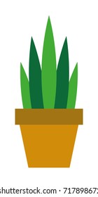 Cactus Colored Flat Vector Icons