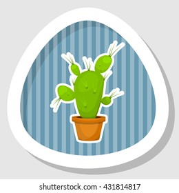 Cactus colorful icon