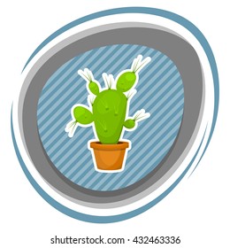 Cactus colorful icon