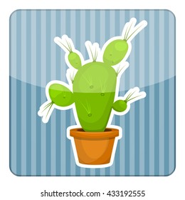 Cactus colorful icon