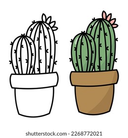 Cactus coloring book page. Cactus in a pot. Isolat