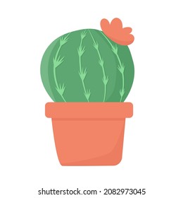 Cactus in colourful pot cartoon vector illustration.