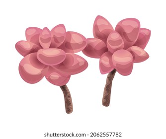 Cactus composition with isolated image of magnolia flower on blank background vector illustration
