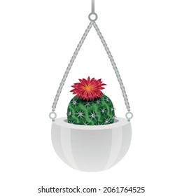 Cactus composition with isolated image of parodia cactus in hanging pot on blank background vector illustration