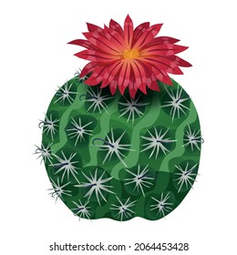 Cactus composition with isolated image of parodia flower on blank background vector illustration