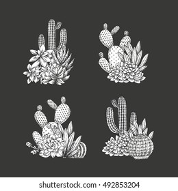 Cactus compositions. Sketchy style illustration. Succulent collection. Vector illustration