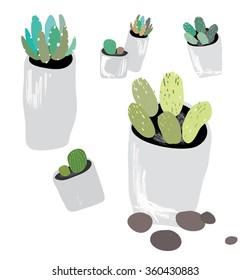 Cactus In Concrete Pots.