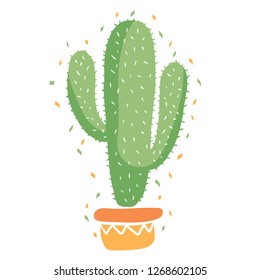 Cactus with confetti