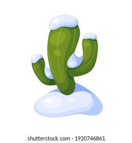 Cactus covered with snow. Landscape element during abnormal cold snap. Vector colorful cartoon illustration isolated on white background