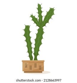 Cactus with curly appendages with thorns and thorns. Succulent in a flower pot, a houseplant for home, office, greenhouse.  Vector icon, color cartoon, complex flat, isolated