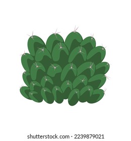 Cactus dark green round shape with thorns. Design element, vector isolated on white background.