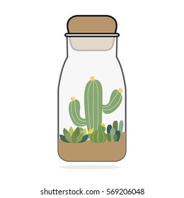Cactus in decorative bottle.vector illustration 