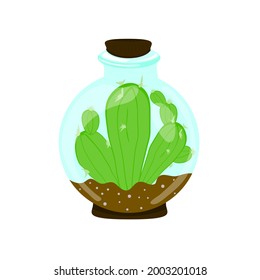Cactus in decorative glass vases,vector illustration.