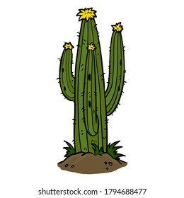 cactus in desert cartoon vector illustration, hand drawn style, isolated on white background.