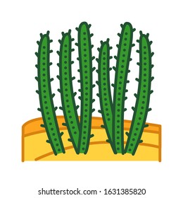 Cactus desert color line icon. Type of cacti. Grow in extremely dry environments. Pictogram for web page, mobile app, promo. UI UX GUI design element. Editable stroke.