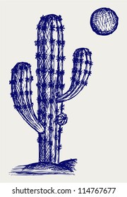 Cactus in desert. Doodle style