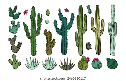 Cactus desert icon. Flower Arizona symbol, Mexican plant, cacti blossom, Mexico prickly, Africa botany. Western bush, safari or weed west and southwest. Hand drawn isolated element vector illustration