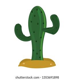 Cactus in desert isolated