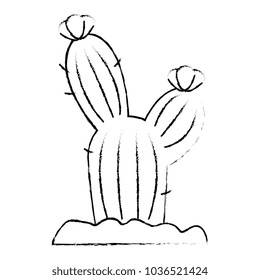 cactus desert isolated icon