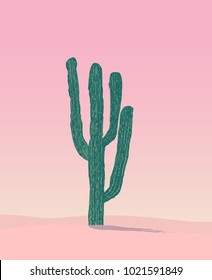 Cactus in a desert, pink sky, vector illustration