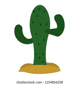 Cactus desert plant