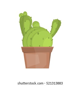 Cactus desert plant
