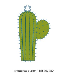Cactus desert plant