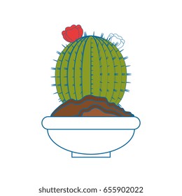 Cactus desert plant