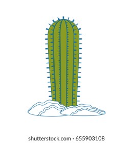 Cactus desert plant