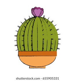 Cactus desert plant