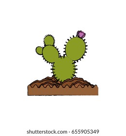 Cactus desert plant
