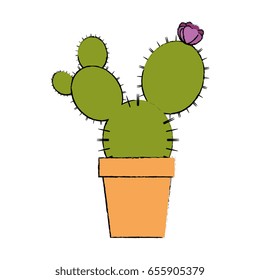 Cactus desert plant