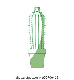 Cactus desert plant