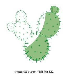 Cactus desert plant