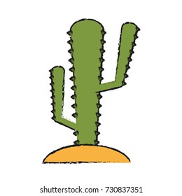 Cactus desert plant
