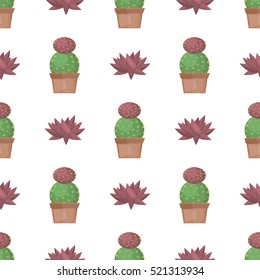 Cactus desert plant blossom flora succulent cartoon cacti. 
