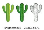 Cactus, desert plant, prickly plant, thorny, spiny