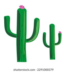 Cactus, desert plant, prickly plant thorny, spiny