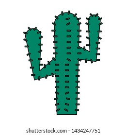 Cactus desert plant succulent isolated vector illustration graphic design
