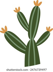 Cactus Desert Plant Vector Illustration