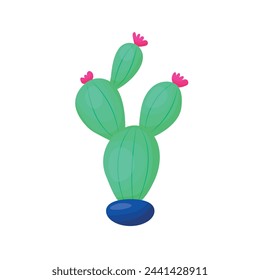 Cactus, planta del desierto. Vector aislado sobre fondo blanco.