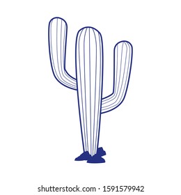 Cactus design, Plant desert nature tropical summer mexico and western theme Vector illustration