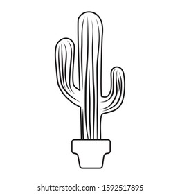 Cactus design, Plant desert nature tropical summer mexico and western theme Vector illustration