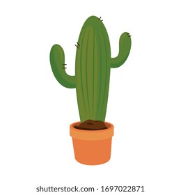 Cactus design, Plant desert nature tropical summer mexico and western theme Vector illustration
